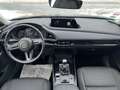 Mazda CX-30 SKYACTIV-G Homura,Werksgarantie bis 01/29 Grau - thumbnail 8