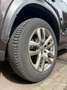 Lexus NX 300h 300h 25th Ed Maro - thumbnail 10