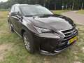 Lexus NX 300h 300h 25th Ed Maro - thumbnail 2