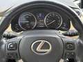 Lexus NX 300h 300h 25th Ed Maro - thumbnail 13