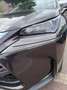 Lexus NX 300h 300h 25th Ed Maro - thumbnail 7