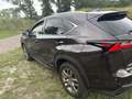 Lexus NX 300h 300h 25th Ed Maro - thumbnail 3