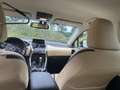 Lexus NX 300h 300h 25th Ed Maro - thumbnail 11