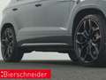 CUPRA Ateca 2.0 TSI DSG 4Drive Limited Edition AKRA AHK KAMERA Grau - thumbnail 34