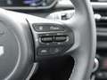 Kia Picanto 1.2 Spirit Navi Kamera Privacy Totwinkel Beige - thumbnail 10
