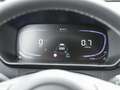 Kia Picanto 1.2 Spirit Navi Kamera Privacy Totwinkel Beige - thumbnail 18