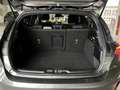Ford Focus Mild-Hybrid 1.0 EcoBoost ST-Line X+Carplay+Lenkrad Grigio - thumbnail 12