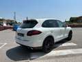 Porsche Cayenne Cayenne II  3.0 V6 tdi 245cv PASM C07 Bianco - thumbnail 6
