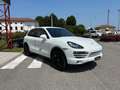 Porsche Cayenne Cayenne II  3.0 V6 tdi 245cv PASM C07 Bianco - thumbnail 4