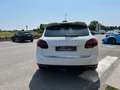 Porsche Cayenne Cayenne II  3.0 V6 tdi 245cv PASM C07 Bianco - thumbnail 7