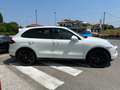 Porsche Cayenne Cayenne II  3.0 V6 tdi 245cv PASM C07 Bianco - thumbnail 5