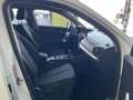 Audi Q2 30 TDI Advanced S tronic 85kW (4.75) Blanc - thumbnail 12