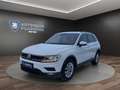 Volkswagen Tiguan 2.0 TSI DSG Comfortline 4Motion ACC*AHK Klima Weiß - thumbnail 1