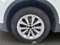 Volkswagen Tiguan 2.0 TSI DSG Comfortline 4Motion ACC*AHK Klima Weiß - thumbnail 10
