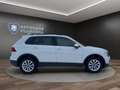 Volkswagen Tiguan 2.0 TSI DSG Comfortline 4Motion ACC*AHK Klima Weiß - thumbnail 4