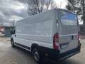 Fiat Ducato 140 L5H2 RS: 4035 mm Weiß - thumbnail 5
