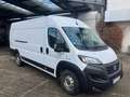 Fiat Ducato 140 L5H2 RS: 4035 mm Weiß - thumbnail 7