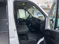 Fiat Ducato 140 L5H2 RS: 4035 mm Weiß - thumbnail 12