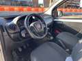 Fiat Fiorino 1.3 MJT 95Cv Cargo Adventure Vetrato Bianco - thumbnail 12