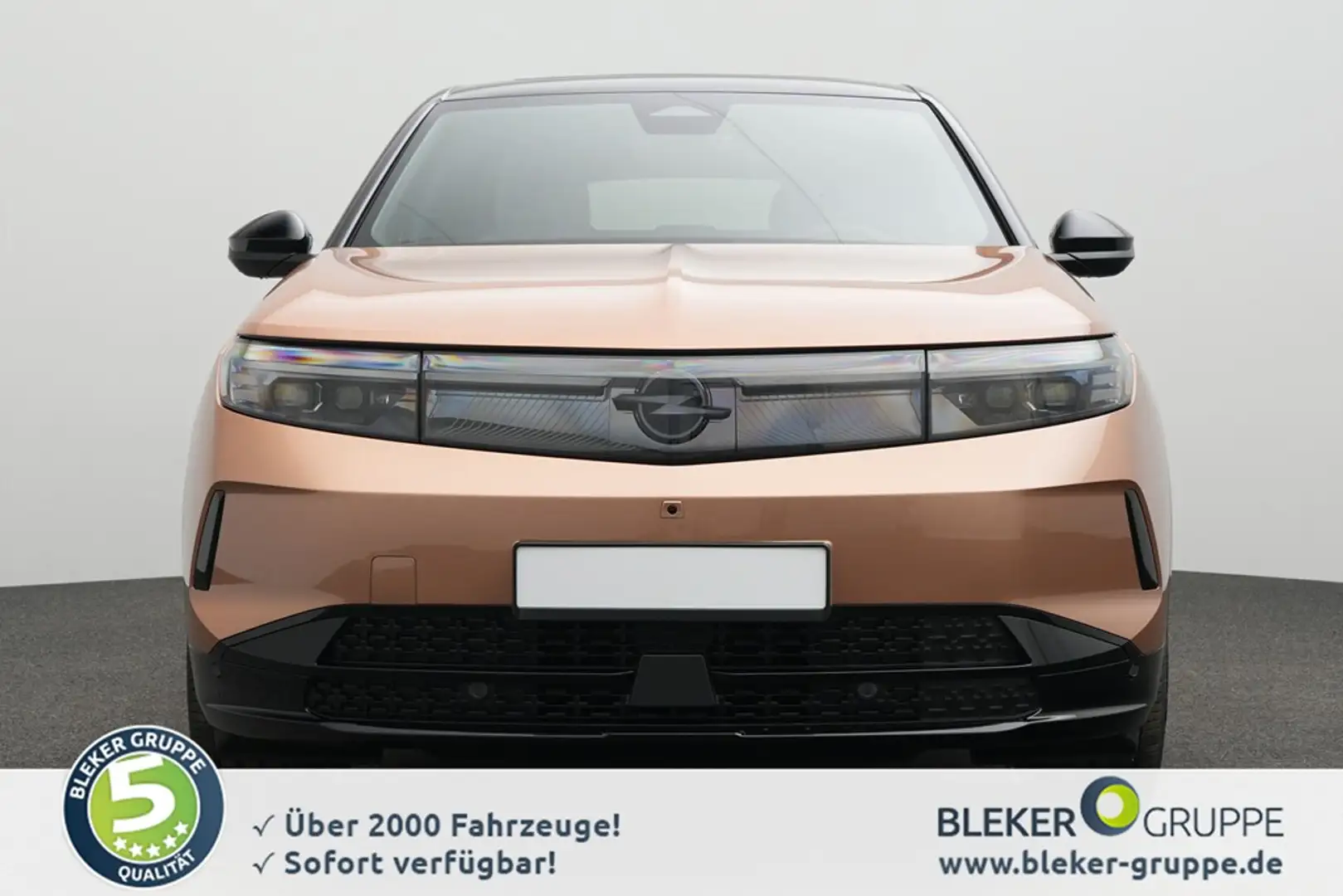 Opel Grandland Electric GS 73 kWh - 1