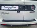 Fiat Doblo 1.6 MJT 120CV PC Combi N1 Lounge Bianco - thumbnail 13