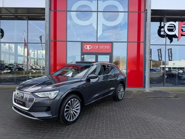 Audi e-tron E-tron 55 quattro advanced 95 kWh