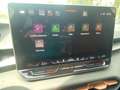 CUPRA Terramar 1.5 eTSI *AHZV *Edge *Navi *Dynamic Blanc - thumbnail 22