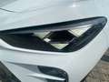CUPRA Terramar 1.5 eTSI *AHZV *Edge *Navi *Dynamic Blanc - thumbnail 19