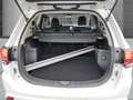 Mitsubishi Outlander Spirit 2.4 PHEV StandHZG CarPlay Kollisionswarner Weiß - thumbnail 5