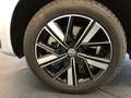 Volkswagen T6.1 California VW T6.1 California Ocean Edition TDI 4MOTION Silber - thumbnail 38