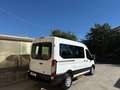Ford Transit 2.0 TDCI 130cv 9 POSTI PULMINO L2 H2 Trend Blanc - thumbnail 2
