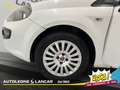 Fiat Punto Evo 3p 1.4 Dynamic easypower 78cv GPL 5 Posti OK NEOPA Bianco - thumbnail 14