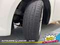 Fiat Punto Evo 3p 1.4 Dynamic easypower 78cv GPL 5 Posti OK NEOPA Bianco - thumbnail 15