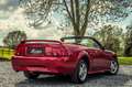 Ford Mustang 3.8i V6 *** CABRIOLET / AUTO / ONLY 12.300 KM *** Rood - thumbnail 2