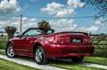 Ford Mustang 3.8i V6 *** CABRIOLET / AUTO / ONLY 12.300 KM *** Roşu - thumbnail 3