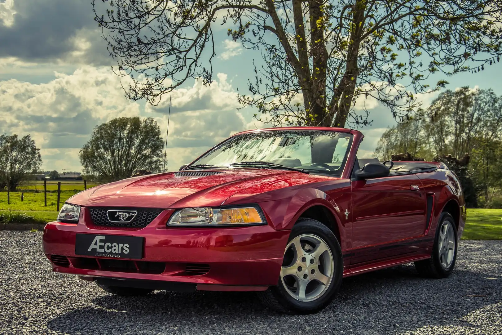 Ford Mustang 3.8i V6 *** CABRIOLET / AUTO / ONLY 12.300 KM *** Rouge - 1