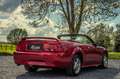 Ford Mustang 3.8i V6 *** CABRIOLET / AUTO / ONLY 12.300 KM *** Rouge - thumbnail 6