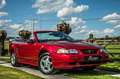 Ford Mustang 3.8i V6 *** CABRIOLET / AUTO / ONLY 12.300 KM *** Rosso - thumbnail 4