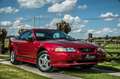 Ford Mustang 3.8i V6 *** CABRIOLET / AUTO / ONLY 12.300 KM *** Rouge - thumbnail 8
