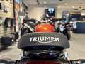 Triumph Speed Twin Orange - thumbnail 14