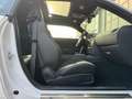 Dodge Challenger 5,7L MOPAR 14 LIMITED 78/100 1.715KM Wit - thumbnail 15