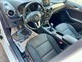 Mercedes-Benz B 180 B 180 cdi Executive Bianco - thumbnail 7