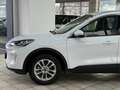 Ford Kuga Hybrid Titanium X Weiß - thumbnail 7