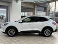 Ford Kuga Hybrid Titanium X Weiß - thumbnail 5