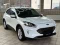 Ford Kuga Hybrid Titanium X Weiß - thumbnail 8