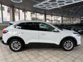 Ford Kuga Hybrid Titanium X Weiß - thumbnail 13