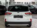 Ford Kuga Hybrid Titanium X Weiß - thumbnail 11