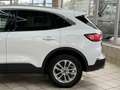 Ford Kuga Hybrid Titanium X Weiß - thumbnail 6