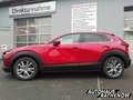 Mazda CX-30 Exclusive Line Modell 2.0 SKYACTIV-X-M Hybrid EU6d Rouge - thumbnail 4