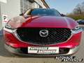 Mazda CX-30 Exclusive Line Modell 2.0 SKYACTIV-X-M Hybrid EU6d Rouge - thumbnail 2